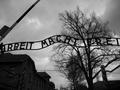 Arbeit macht frei