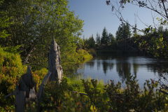 Rakytovské plieska