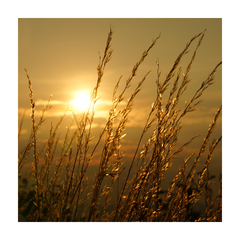 svetielko medzi fotkami