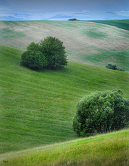 podvečer