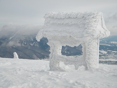 dôležité oznamy :)