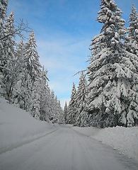 cesta na martinky