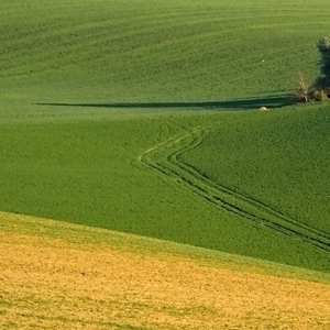 Komu sa nelení....