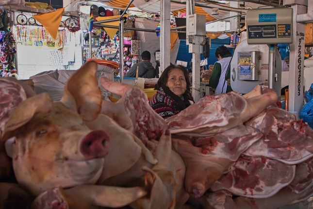 Porky Lady
