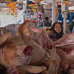 Porky Lady