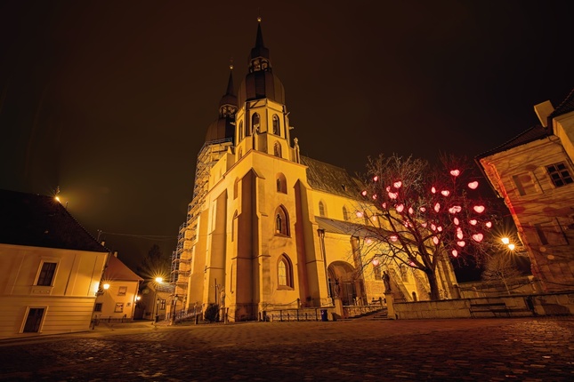Strom lásky