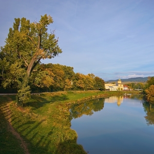 Mŕtve rameno