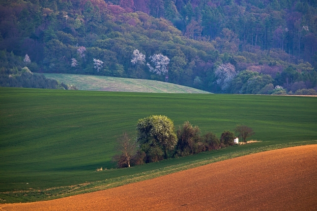Ostrov v poliach