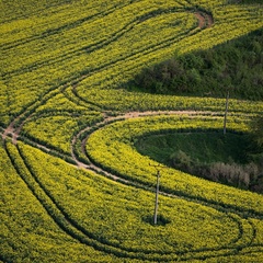 Okľukou