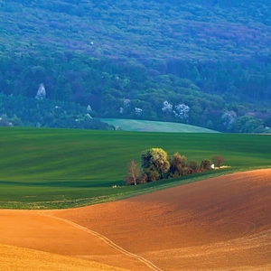 Na zlatej vlne
