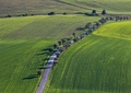 Green One
