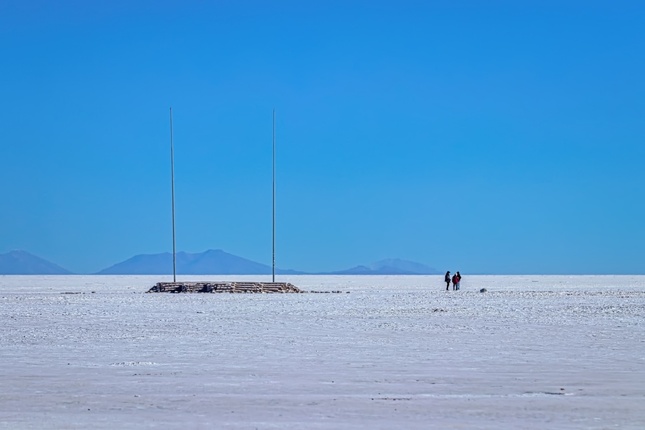 Nasolená