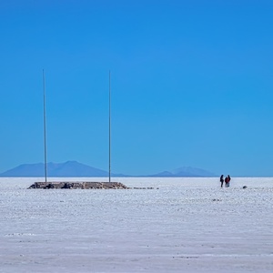 Nasolená