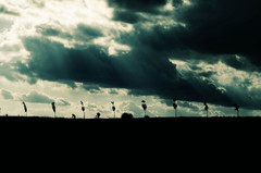 Return