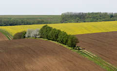 cestičkou III