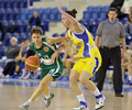 basket