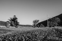 on the road