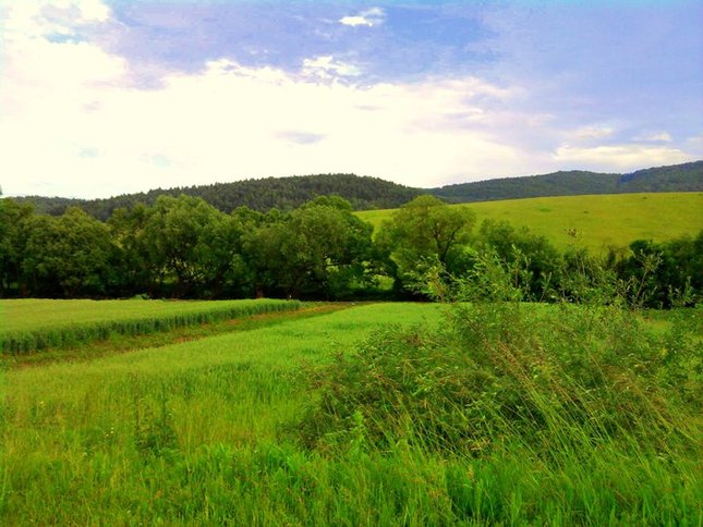 Príroda