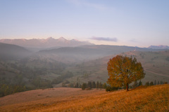 This beautiful morning