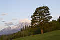 Strom-Les-Tatry