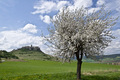 Spišský hrad