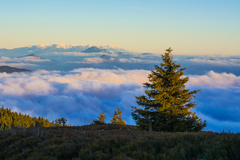 Strážca dolín a hôr