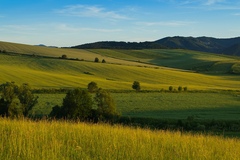 V piatok podvečer...