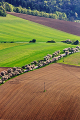 Stratil sa v líniach