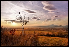 Karpaty
