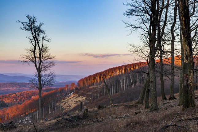 Karpaty večer