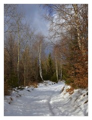 prechadzka