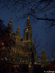 Das Wiener Rathaus