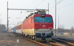 "gorila" 350.018
