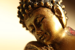budha