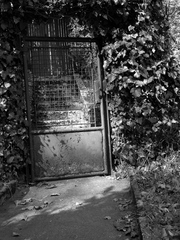 Brána do Tajnej záhrady   II.