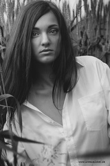 Barbora