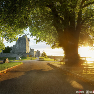 Ross castle Killarney