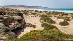 Santa Maria beach I