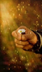 Flower Power
