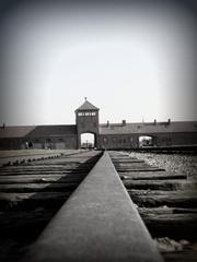 Birkenau.