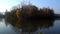 Ostrůvek