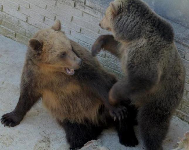 zoo bojnice
