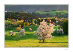 Jarná symfónia