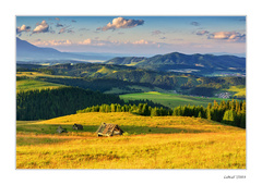 Nezastaviteľný čas