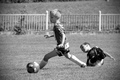 Futbal