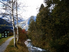 Cesta