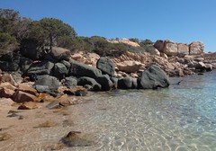 madallena