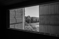 hdtv
