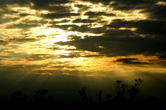 ray of light