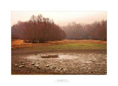 ,,Desolation"